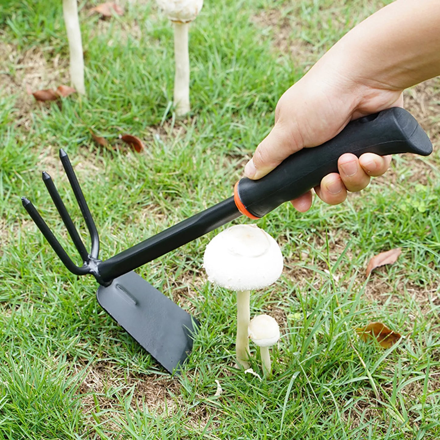 Shovels Set – Pack of 3 (Heavy Duty)