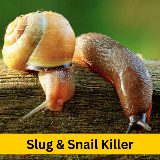 Slugs and Snails Bait