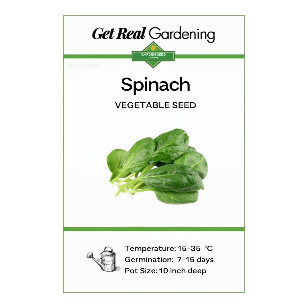 Spinach (دیسی پالک کے بیج) – 600+ Seeds