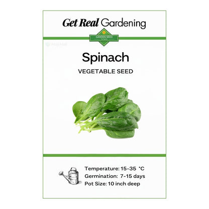 Spinach (دیسی پالک کے بیج) – 600+ Seeds
