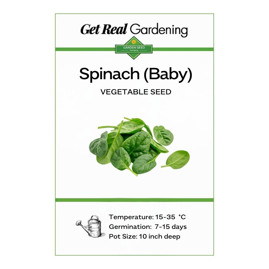 Spinach Baby – F1 Hybrid Seeds