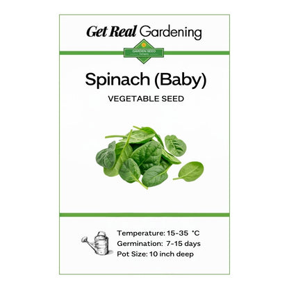 Spinach Baby – F1 Hybrid Seeds