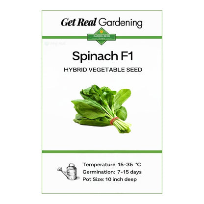 Spinach – F1 Hybrid Seeds