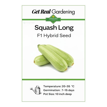 Squash Long – F1 Hybrid 15+ Seeds
