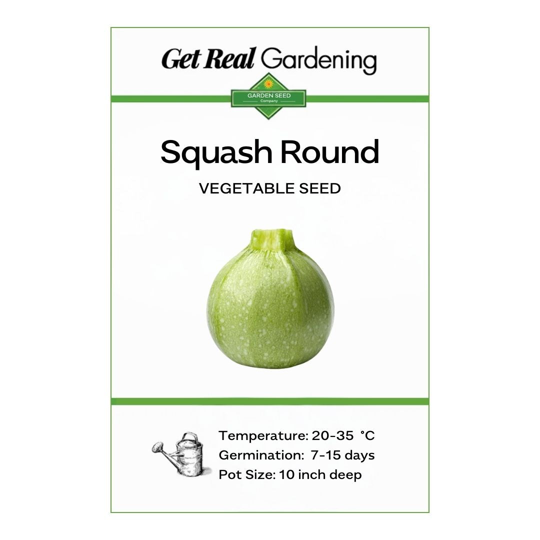 Squash Round (دیسی ٹینڈی کے بیج) – 20+ Seeds