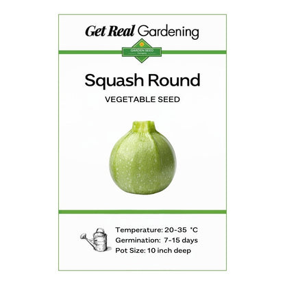 Squash Round (دیسی ٹینڈی کے بیج) – 20+ Seeds