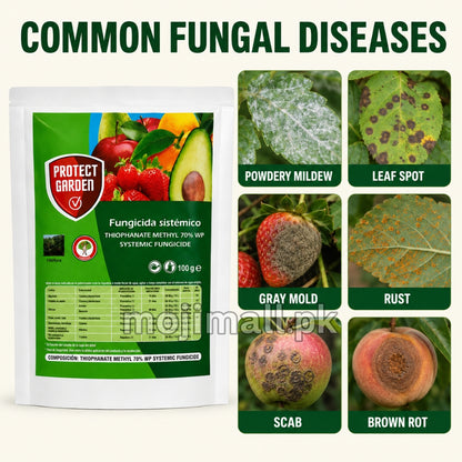 Thiophanate Methyl 70% WP systemic fungicide for controlling listed fungal diseases on garden plants in Pakistan by Moji Mall.