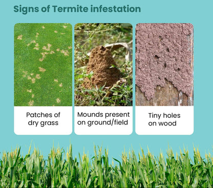 Duraflex 250ML – Termite Killer for Plants