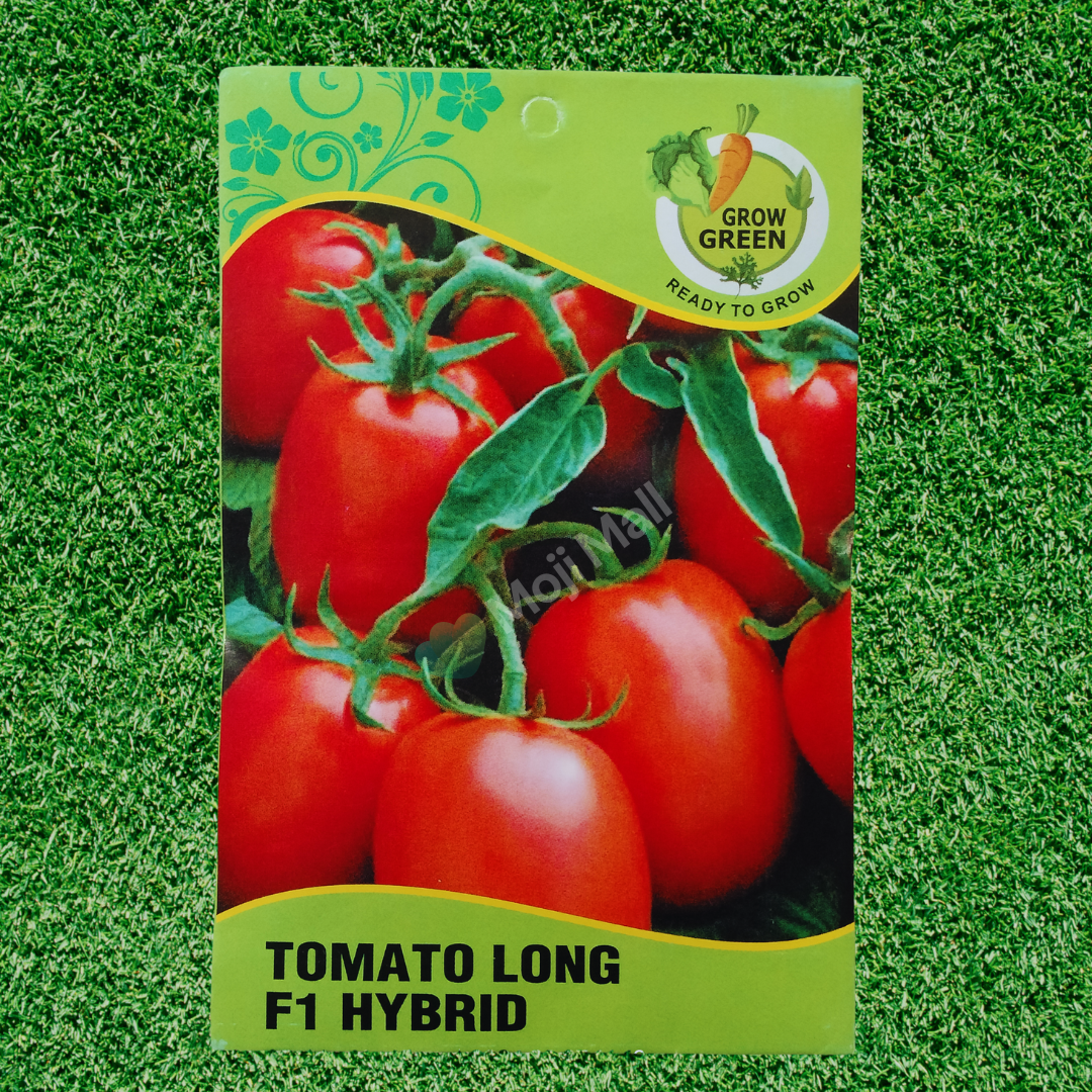 Tomato (Tamatar) - F1 Hybrid - 30+ Seeds