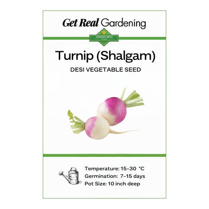 Turnip (دیسی شلجم کے بیج) – 100+ Seeds
