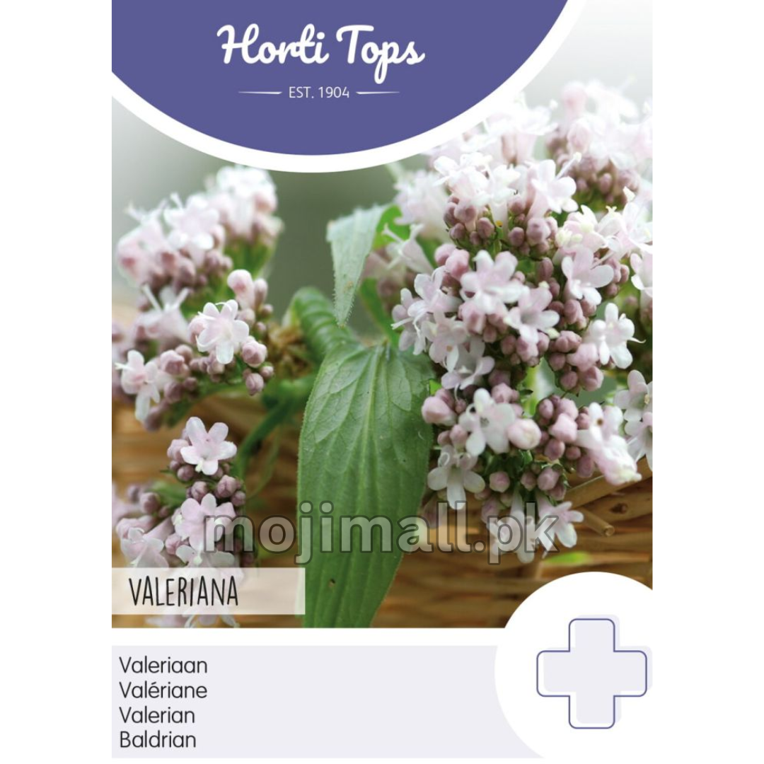 Valerian Herb – Horti tops Seeds (Imported - Limited Stock)