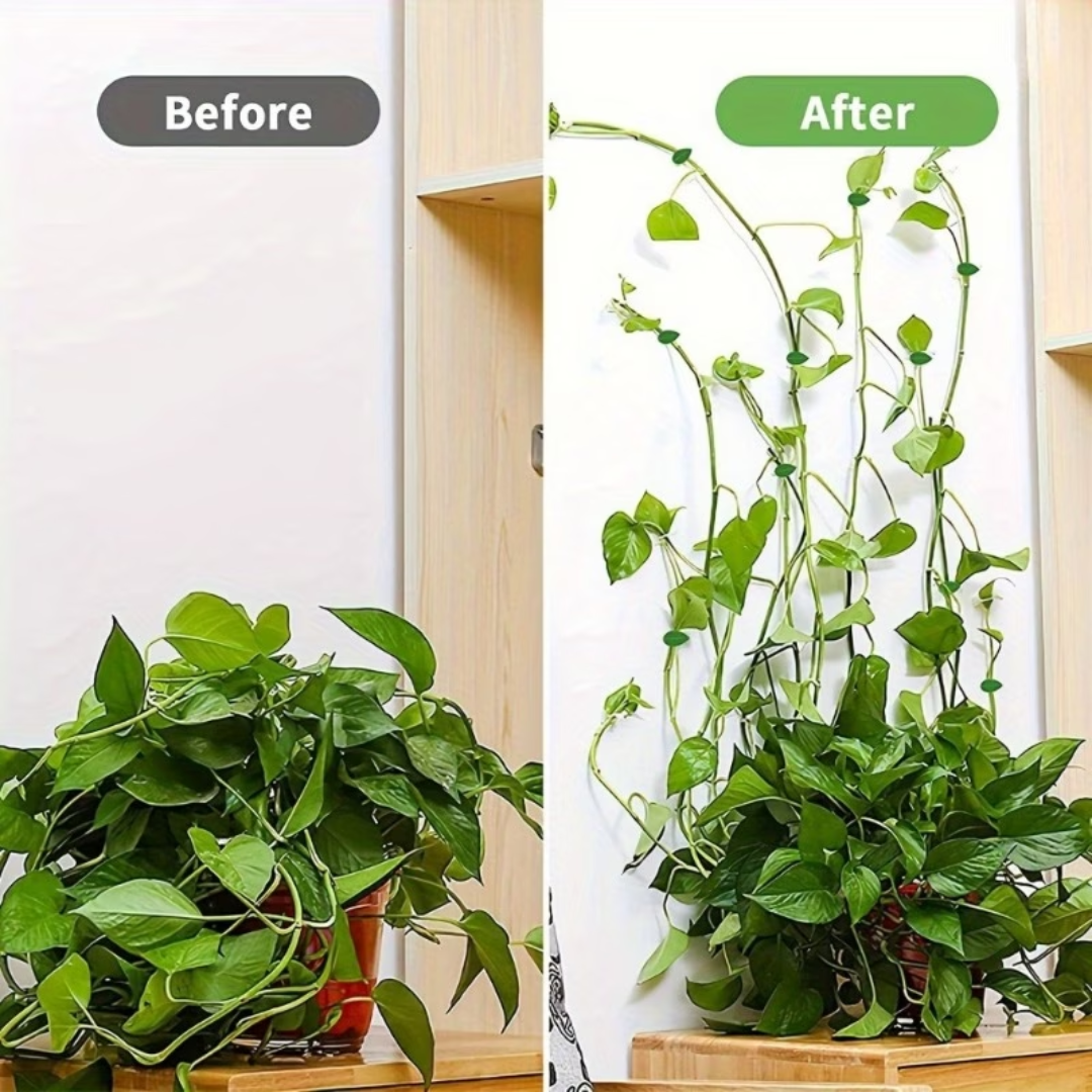 Self-Adhesive Plant Climbing Clips – Leaf Design