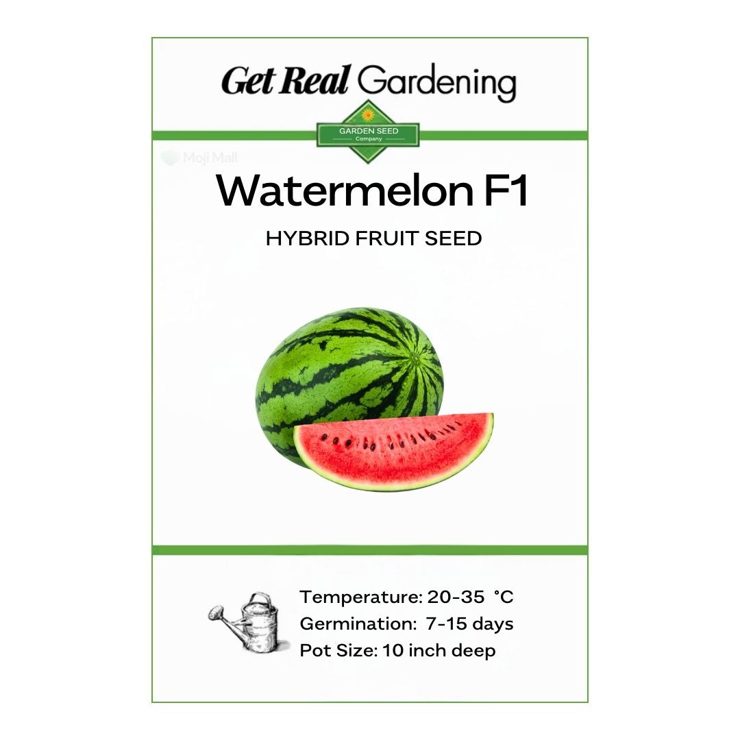 Watermelon (تربوز) Zebra - F1 Hybrid 10 Seeds