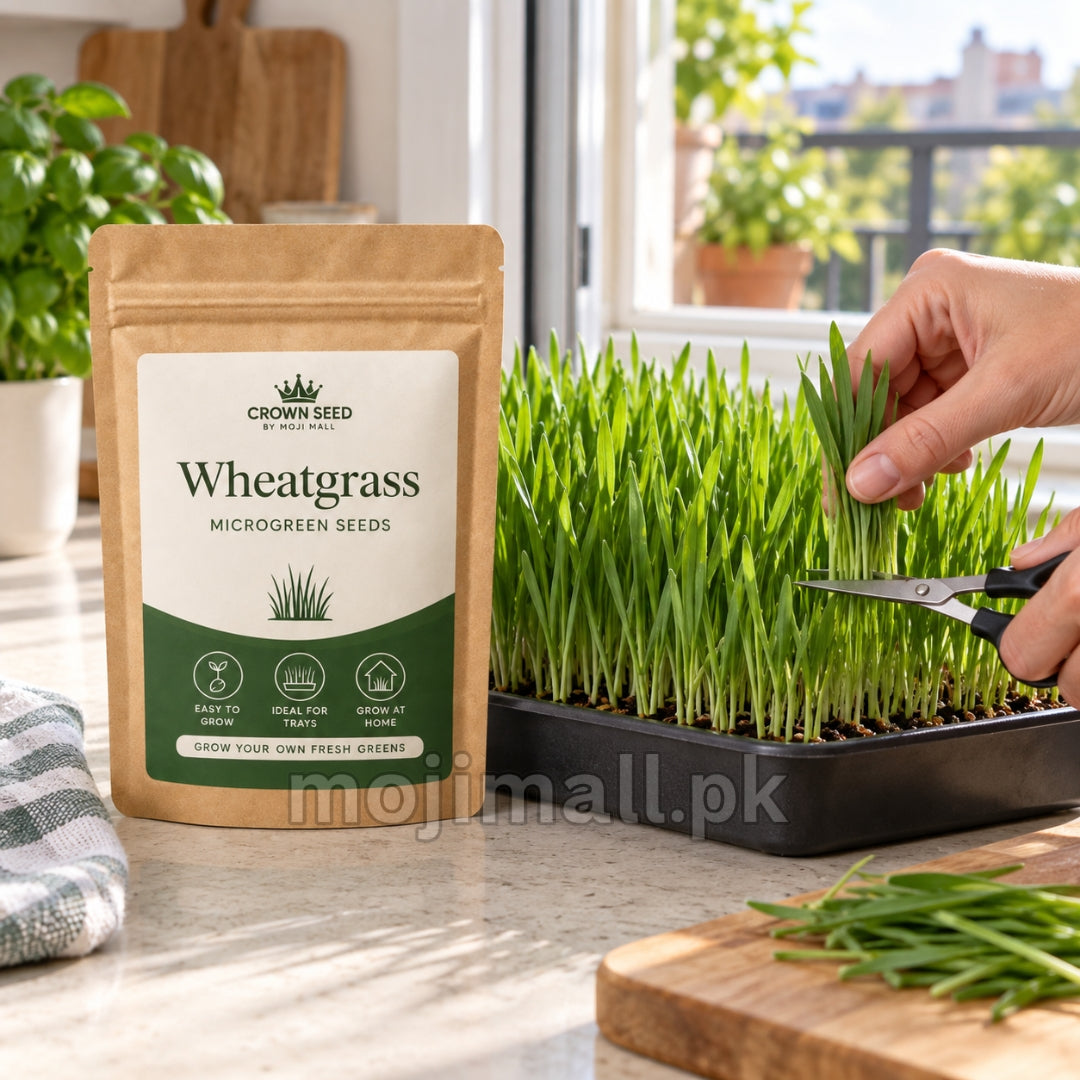 Hands trim wheatgrass with scissors beside a Crown Seed pouch in Moji Mall’s microgreen seed listing for Pakistan
