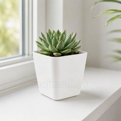Plastic Pots Square 3 inch – White