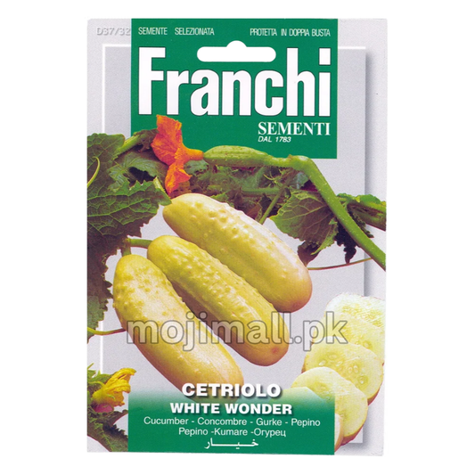 White Wonder Cucumber – Franchi Seeds (Imported - Limited Stock)