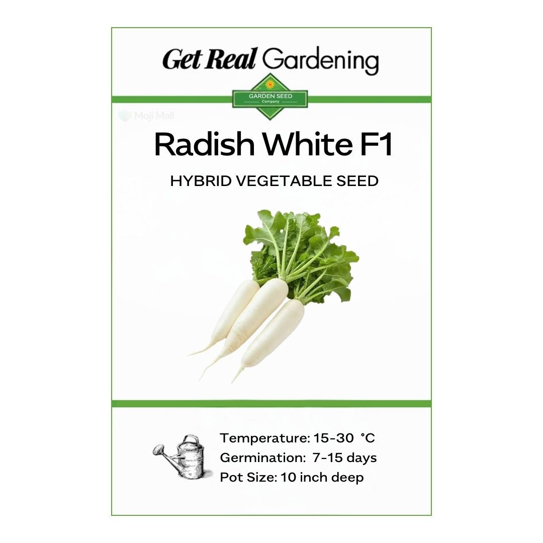 Radish White – F1 Hybrid 70+ Seeds