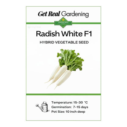 Radish White – F1 Hybrid 70+ Seeds