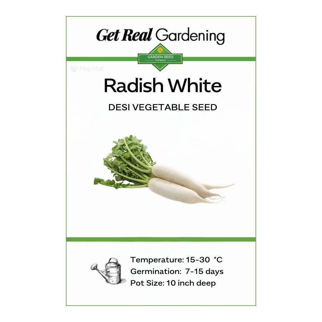 Radish White (دیسی مولی کے بیج) – 100+ Seeds