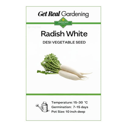 Radish White (دیسی مولی کے بیج) – 100+ Seeds
