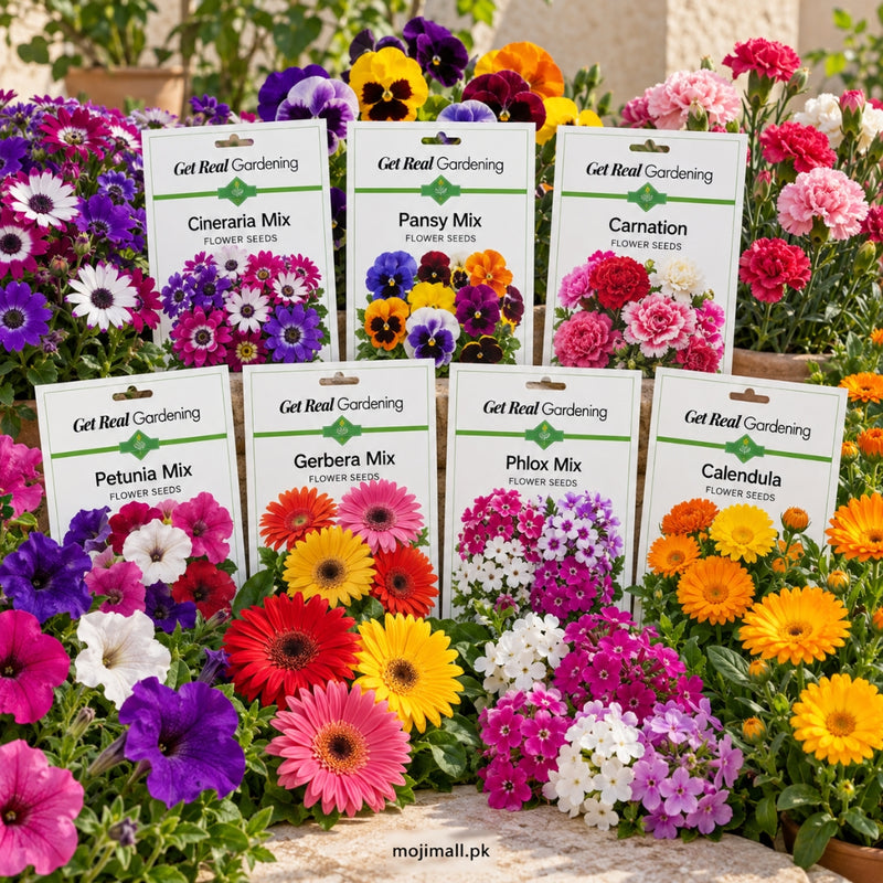 Winter Flower Seeds