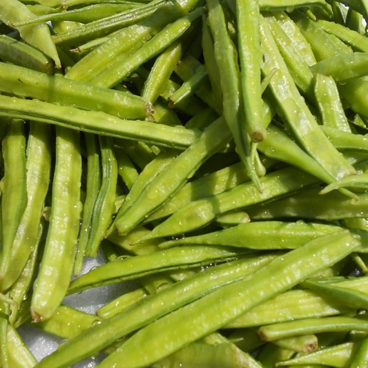 Guar Beans (Guar Phali, گوار پھلی) F1 Hybrid - Seeds