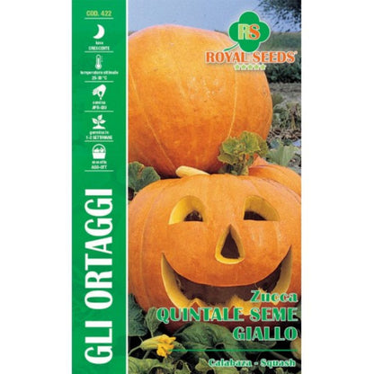 Pumpkin Seeds – Yellow